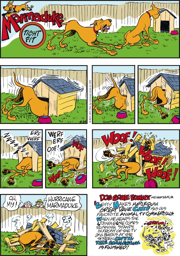 marmaduke